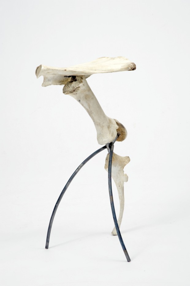 Третья нога: коллекция стульев из костей
