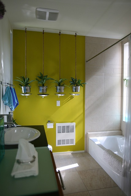 49 идей для растений в ванной комнате