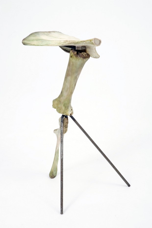 Третья нога: коллекция стульев из костей