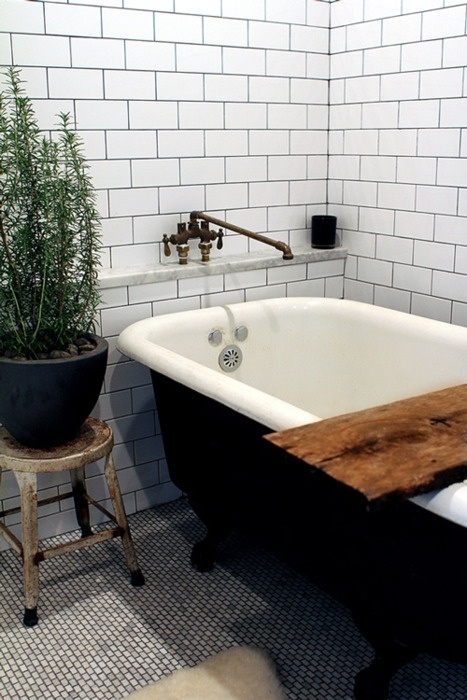 49 идей для растений в ванной комнате