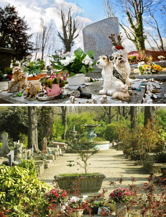Кладбище домашних животных. Где похоронить домашнее животное? Ритуальные услуги для животных