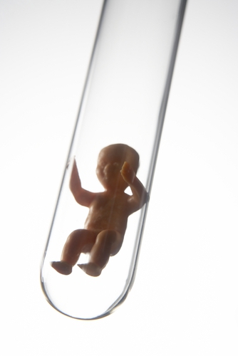 Как вести себя после переноса эмбриона? Экстракорпоральное оплодотворение. ХГЧ после переноса эмбриона